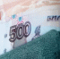 Свыше 1,2 тыс. белгородских семей получили сертификаты на материнский капитал проактивно - Сетевое издание Вперёд